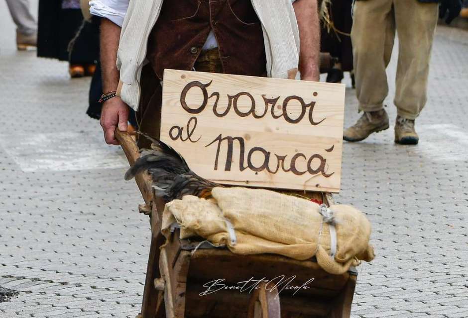 Ovaroi